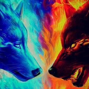 Meet your Posher, Og